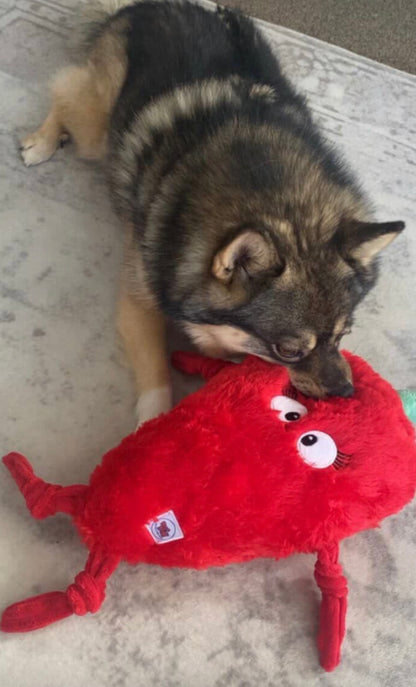 Spicy Chilli ™ Eco-Friendly Plush Dog Toy | Tug & Play|Pals For Paws™