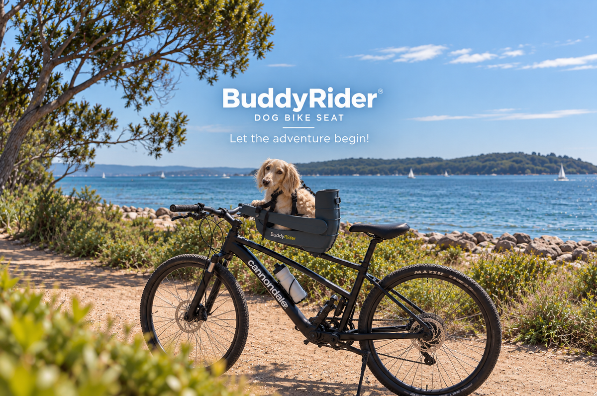 Buddyrider dog bike seat