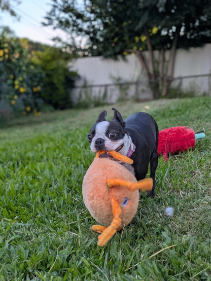 Crazy Carrot™ Eco-Friendly Plush Dog Toy | Tug & Play|Pals For Paws™