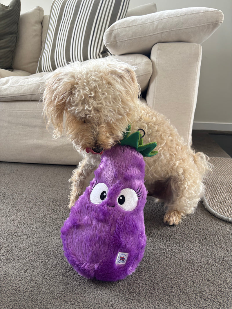 Toughest plush dog toys Australia 