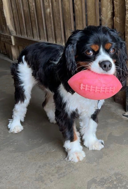 RuffDawg Tough Football Dog Toy – Floats, Bounces & Lasts
