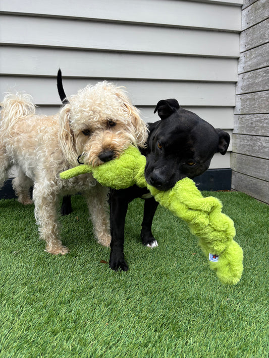Connie Caterpillar™ Eco-Friendly Plush Tug Dog Toy | Reinforced for Tug & Play|Pals For Paws™