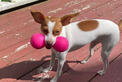 Ruffdawg Indestructible rubber dog toy - BIG DAWG