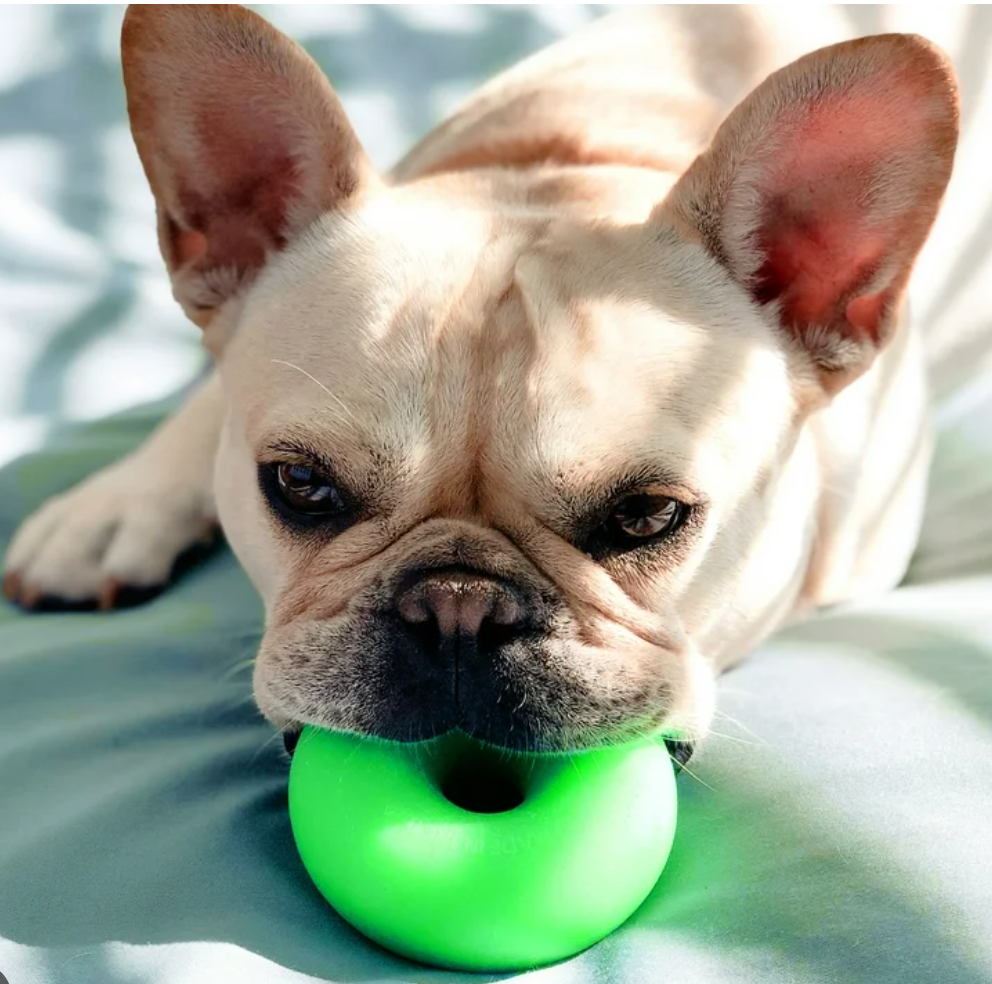 Indestructible Tough Dog Toy- RuffDawg- Dawgnut – Pals for Paws