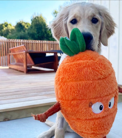 Crazy Carrot - Plush Dog Toy - 100% Recycled Material - Tougher