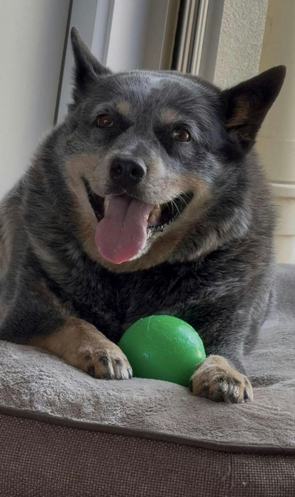 Best Seller- Tough Dog Ball- RuffDawg