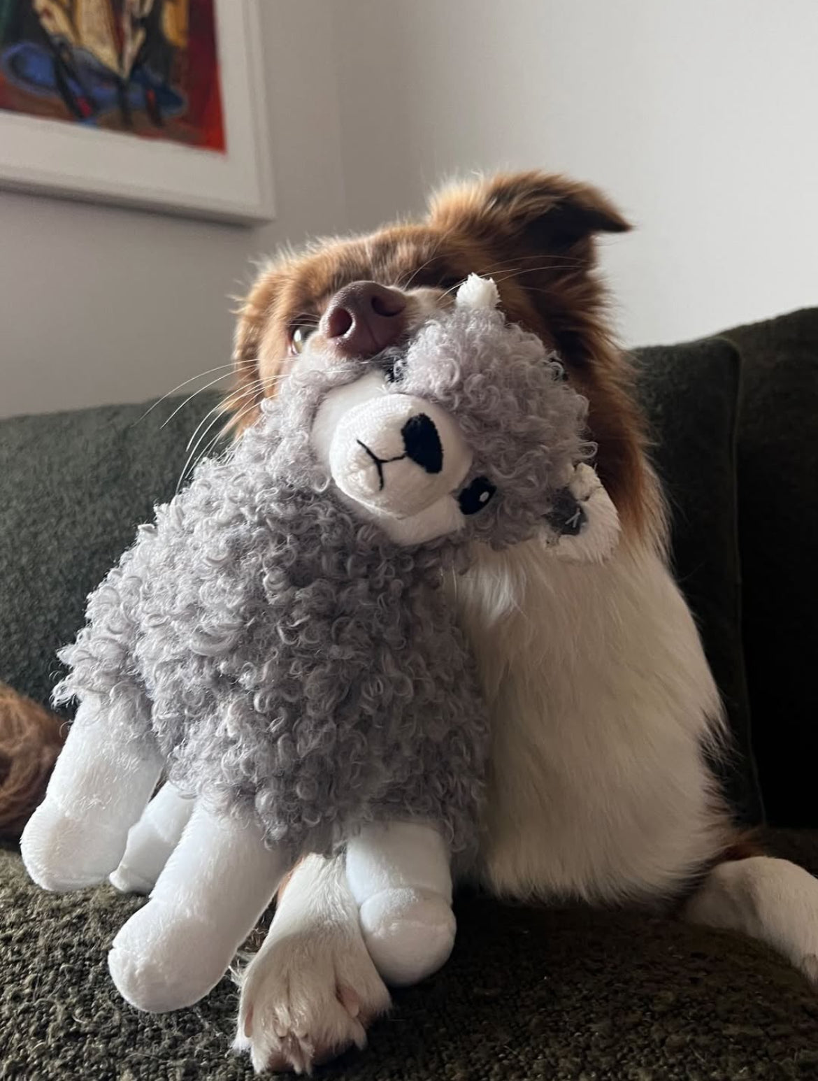 Alpaca - Soft plush dog toy- 2 toys in 1