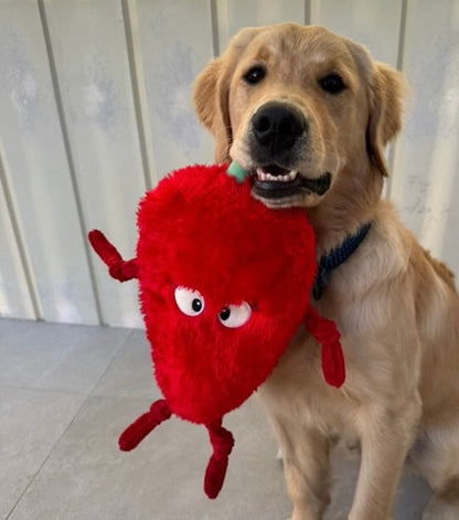 SpicyChilli- Plush Dog Toy -100% recycled material - Tougher