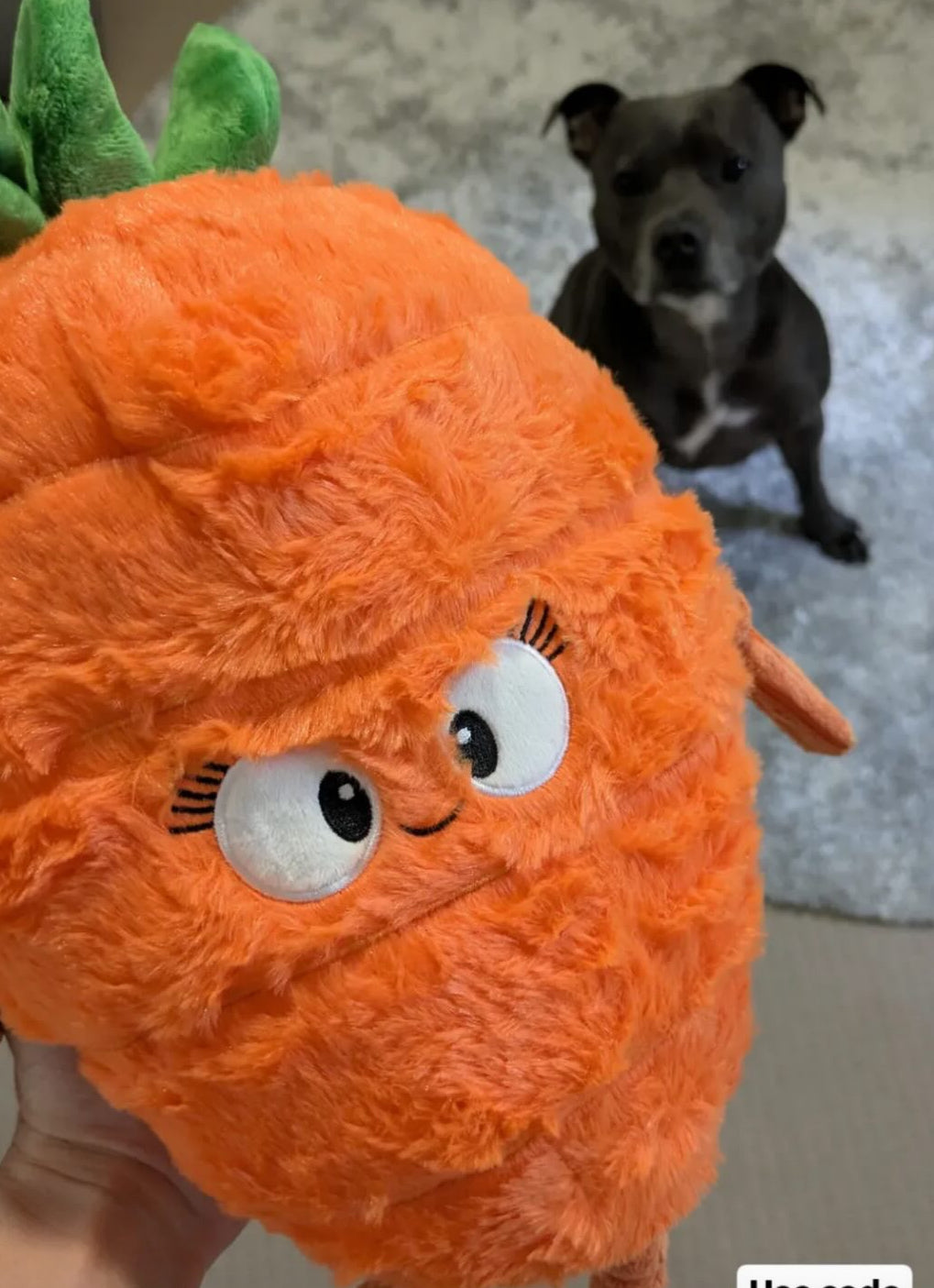 Durable Plush soft dog toy-Carrot - Pals for Paws 