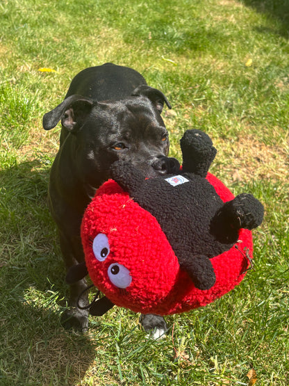 Larry Ladybug Plush Dog Toy - Pals For Paws™
