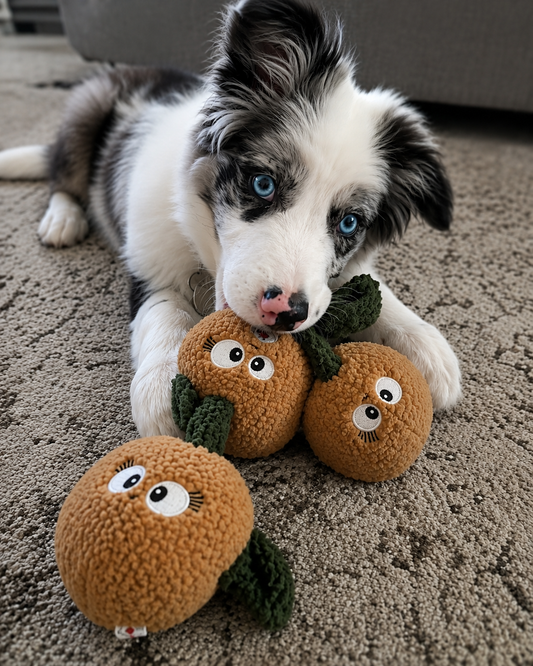 Kiwi the Plush Dog Toy- Eco-Friendly | Perfect For Shaking & Flinging |Pals for Paws