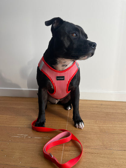 Padded handle dog lead - Candy Stripe Leash -Red