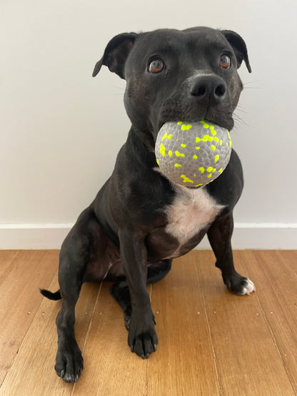 Pals for Paws- Dura Bite dog ball - Large- 3 Inch Orange
