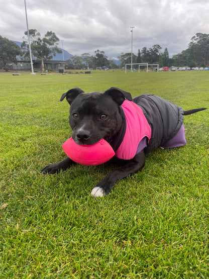 indestructible dog toy australia rubber best dog toy staffy
