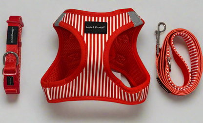 Step in dog harness - Click and walk harness- Red