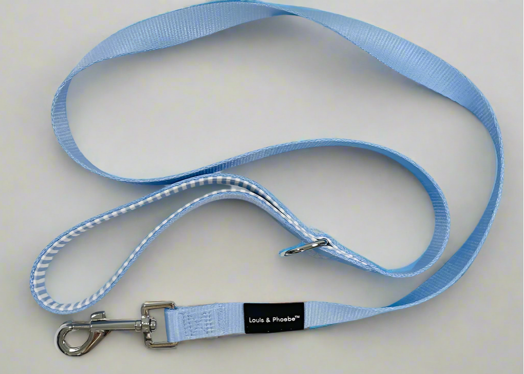 Padded handle dog lead- Stripe dog Lead - Baby blue - Pals for Paws 