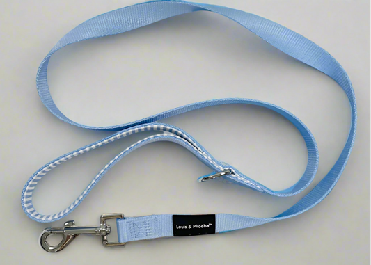Padded handle dog lead- Stripe dog Lead - Baby blue