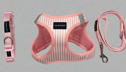 Padded handle dog lead -Baby Pink