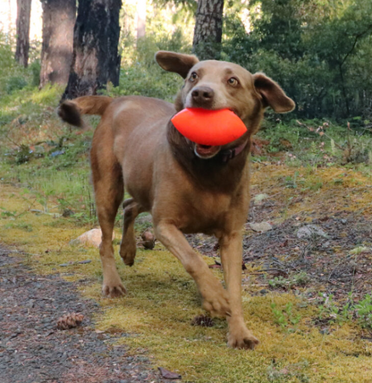 COMING SOON -Indestructible Rubber Dog Toy-Ruffdawg-Football