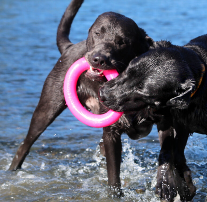 COMING SOON ! Dawg-Ring- Ruffdawg - Tough non toxic dog toy