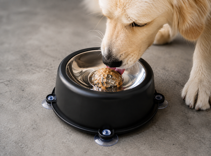 Pals For Paws - Dog Enrichment Bowl Game -Stainless Steel