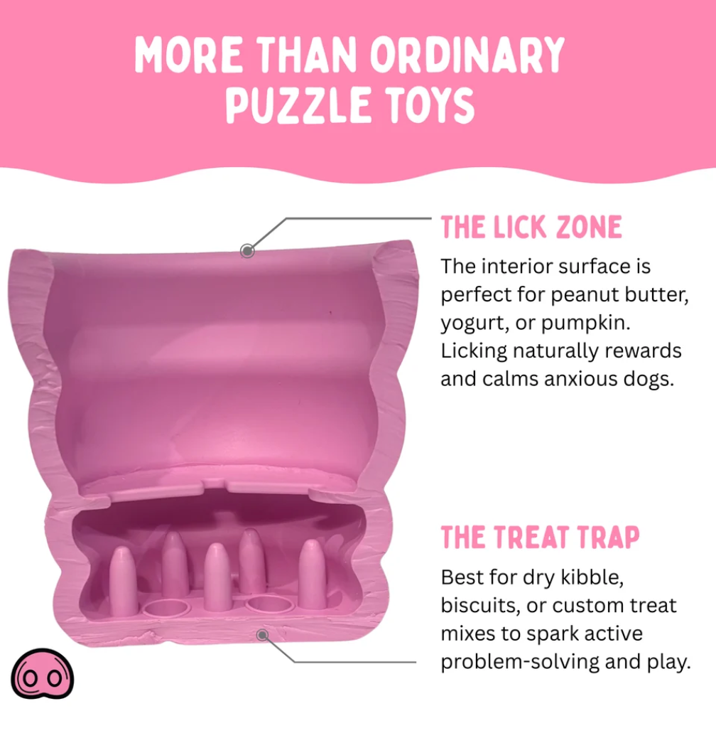 non toxic dog toys
