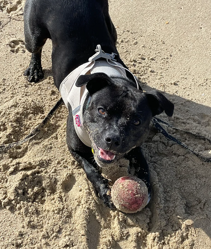 Indestructible dog toy, Tough dog ball, Indestructible dog ball