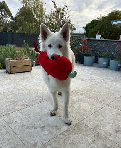 Durable Plush soft dog toy-Chili