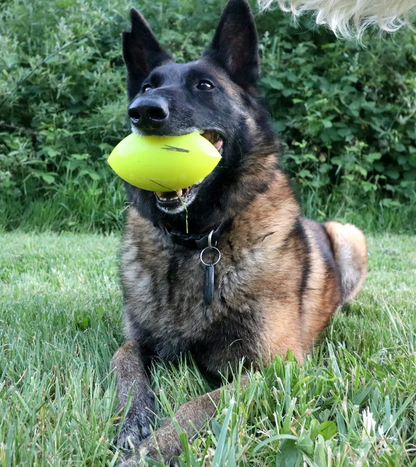 COMING SOON -Indestructible Rubber Dog Toy-Ruffdawg-Football