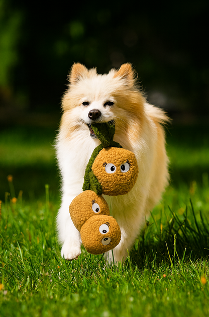Kiwi the Plush Tug Dog Toy- Pals for Paws™