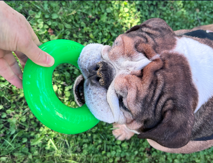 COMING SOON ! Dawg-Ring- Ruffdawg - Tough non toxic dog toy