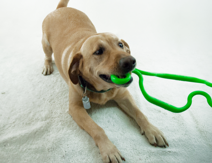 Coming Soon - Ruffdawg-  Super Tug