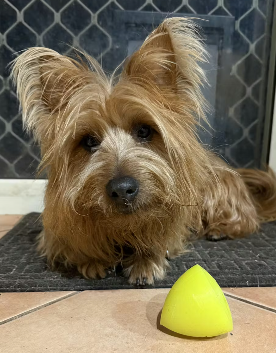 Tough Ruffdawg Rubber Dog To -DawgXtreme - Non toxic