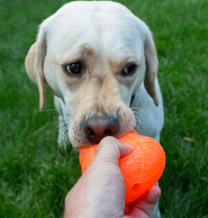 Coming Soon- Peanut Crunch - Non Toxic Treat Hiding Toy