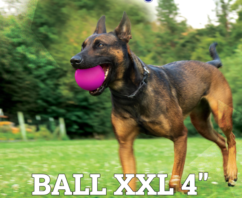 Best Seller- Tough Dog Ball- RuffDawg