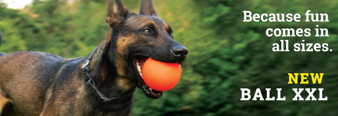 Best Seller- Tough Dog Ball- RuffDawg