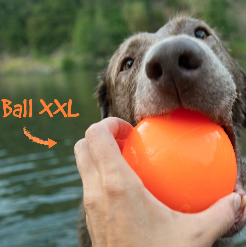 Indestructible dog ball 