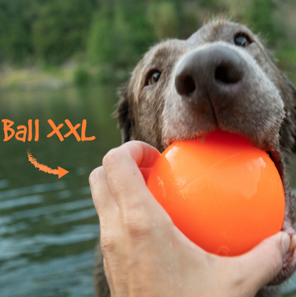 Indestructible dog ball 