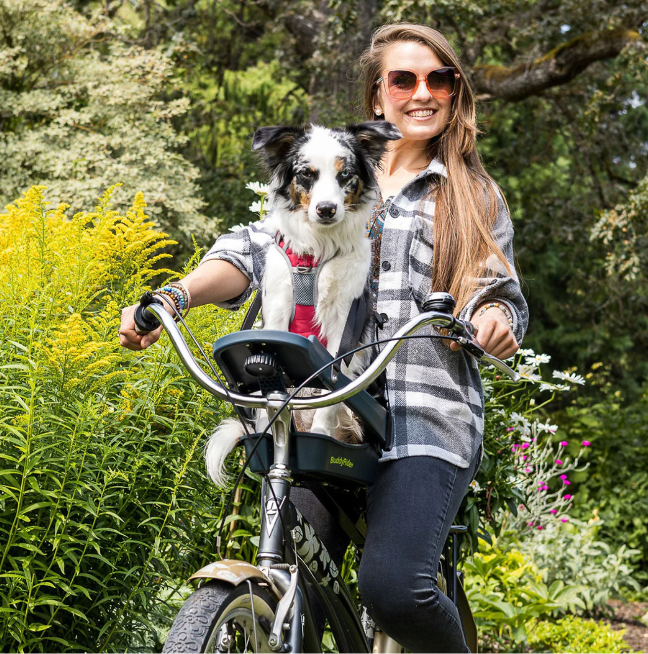 Buddyr Rider Dog Bike Seat Australia