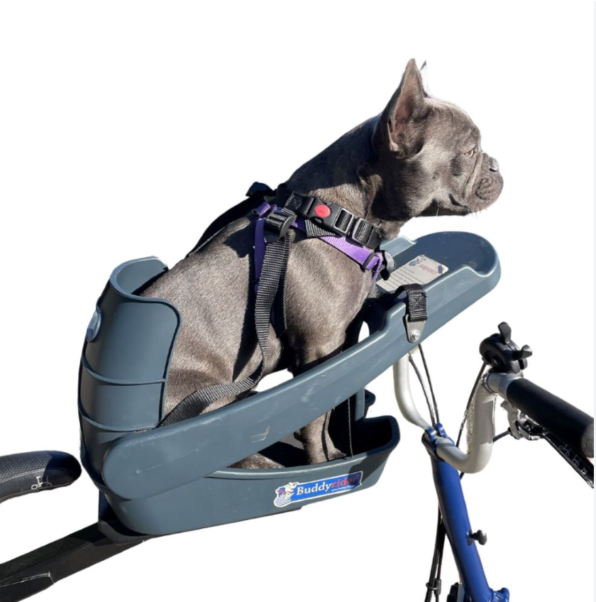 BuddyRider Dog Bike Seat Australia 