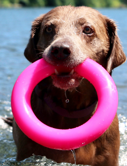 Ruffdawg- Dawg-Ring - Tough, Non Toxic,Floats & Lasts