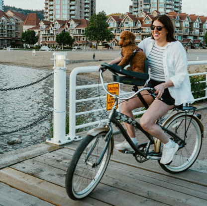 BuddyRider® Series 2- Ridged Metal Support Arm