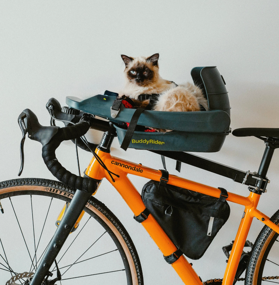 BuddyRider Seat Cat