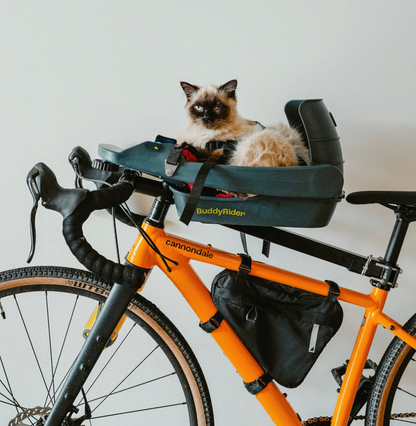 BuddyRider Seat Cat