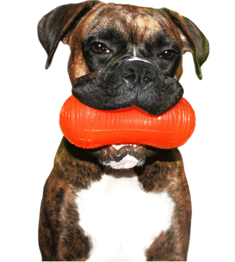 Peanut Crunch - Non Toxic Treat Hiding Toy