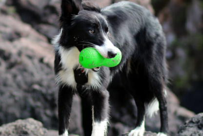 Peanut Crunch - Non Toxic Treat Hiding Toy