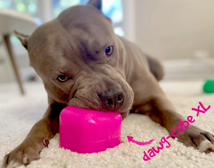 Ruffdawg Tough rubber dog toy - DawgCube