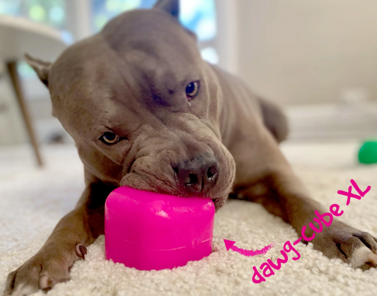 Ruffdawg Tough rubber dog toy - DawgCube
