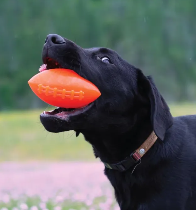 RuffDawg Tough Football Dog Toy – Floats, Bounces & Lasts