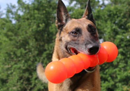 RuffDawg Tough Dawgbuster Dog Toy - Floats, Bounces & Lasts